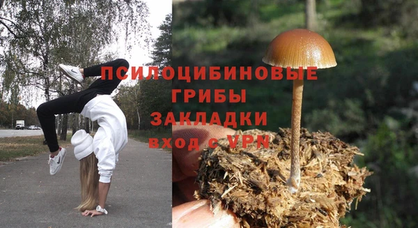 гидра Дмитров