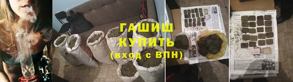 гидра Дмитров