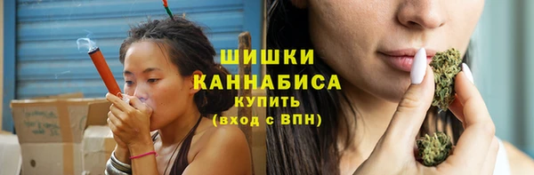 гидра Дмитров