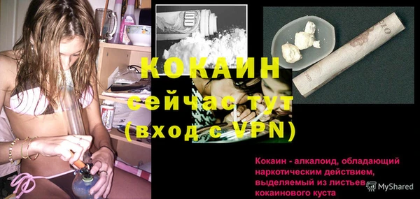 винт Дмитриев