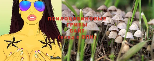 винт Дмитриев