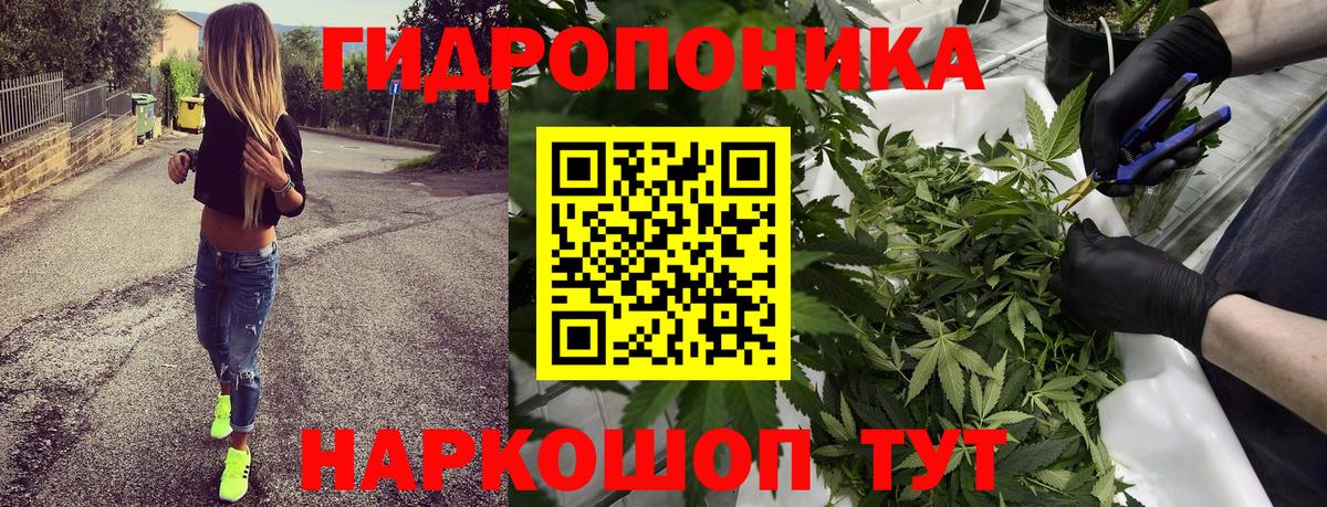 Конопля планчик  Конопля семена  Вход с VPN  Бошки марихуана план  Зеленогорск 